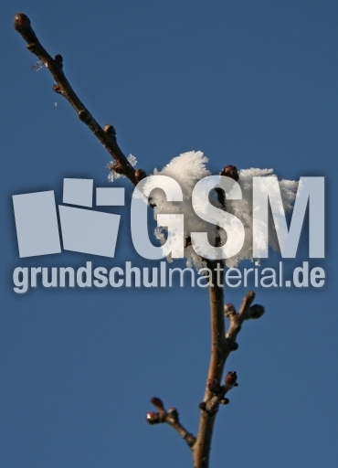 Winterimpressionen 047.jpg